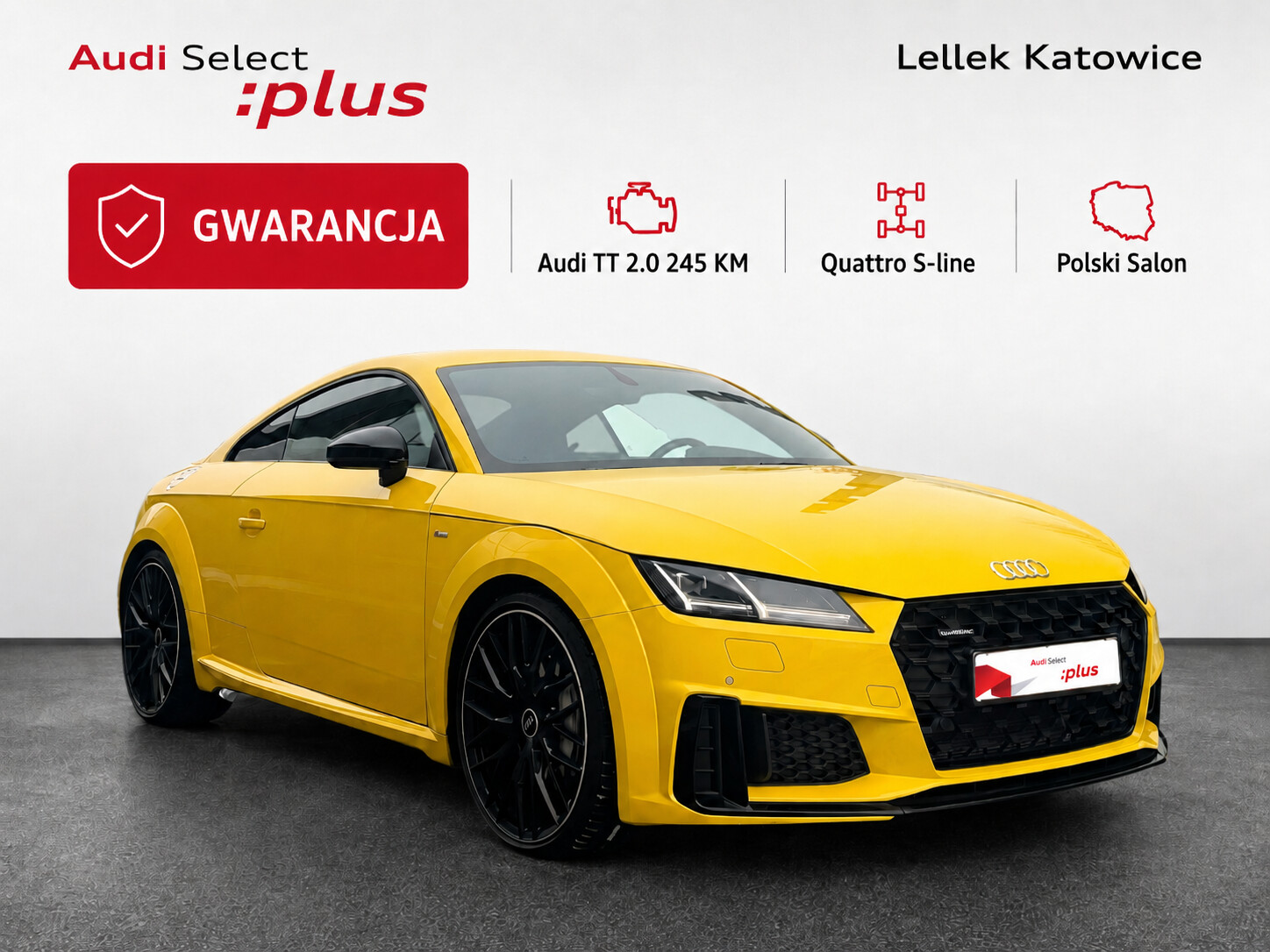 Audi TT Coupé TT COUPE quattro Audi TT Coupé 45 TFSI 180(245) kW(KM) S tronic