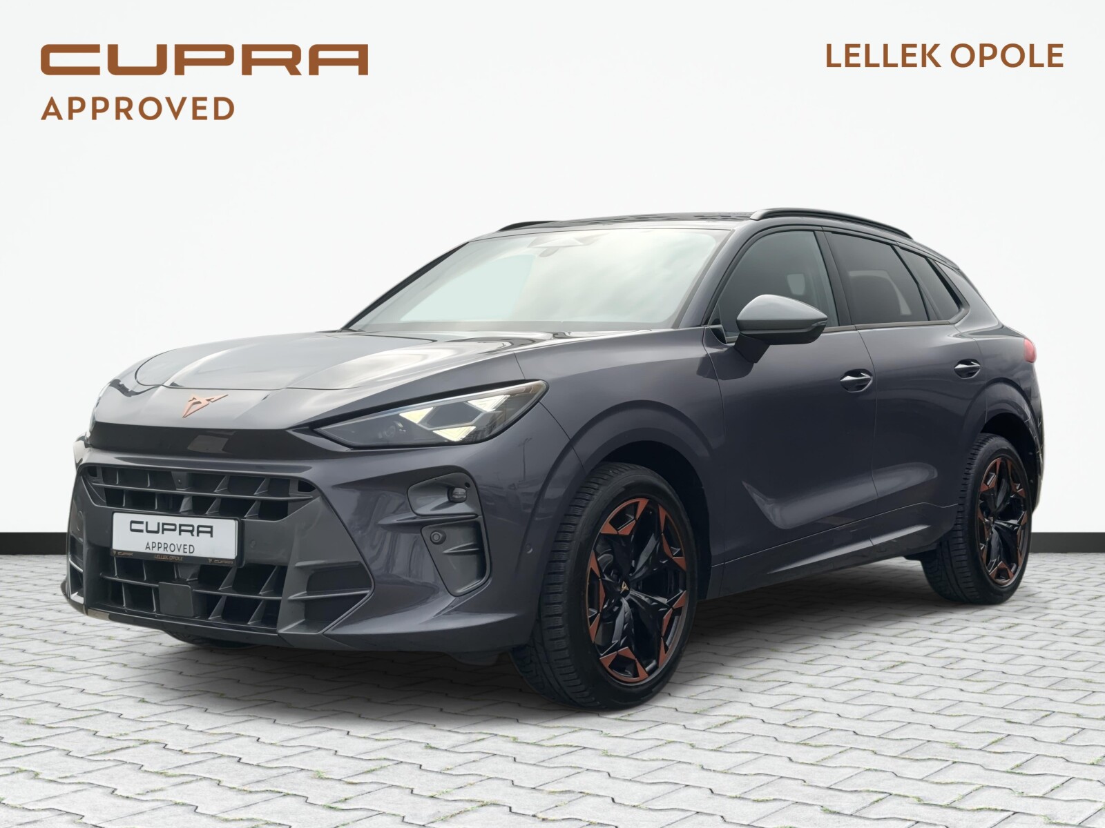 Cupra Terramar .